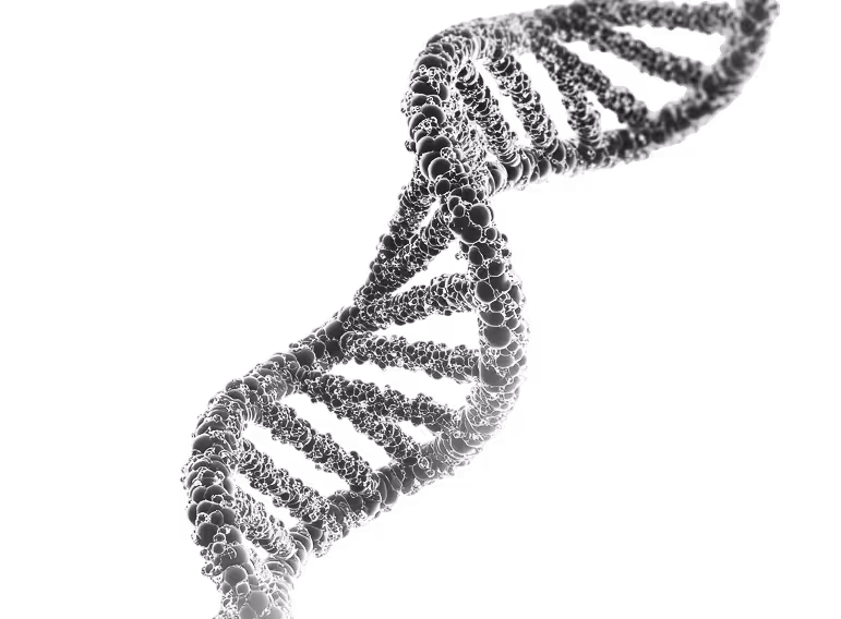 Close-up view of a grayscale 3D rendering of a DNA double helix structure.